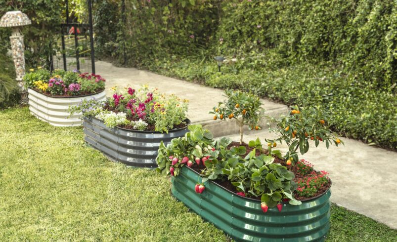 The Best Soil Depths and Layering Methods for Deep-Root Crops in Metal Beds