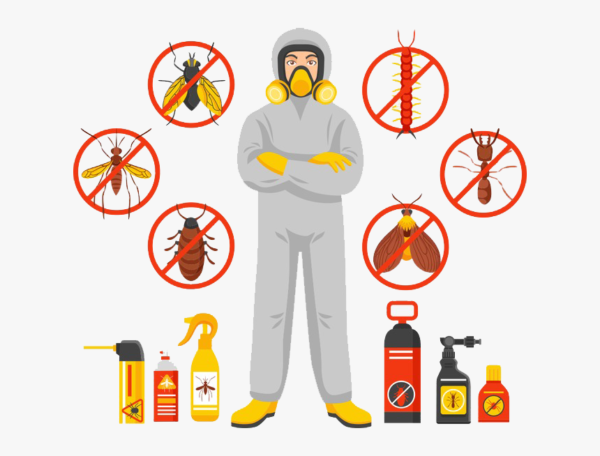 Pest-Control-Treatment