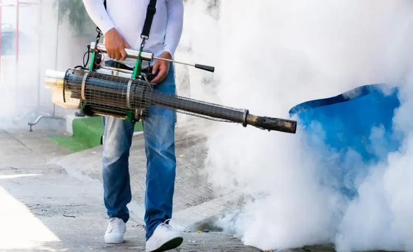 Is Deemak Control Spray Effective in Lahore?