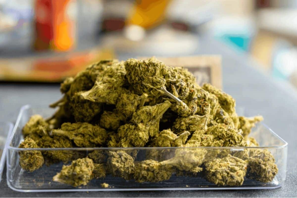 Bulkbuddy Guide for Affordable Weed Shopping