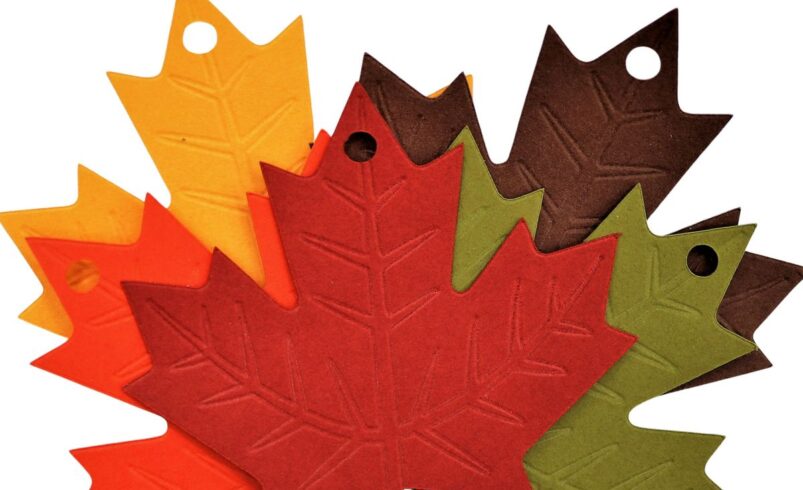 Custom Leaf Tags For Modern Branding and Packaging