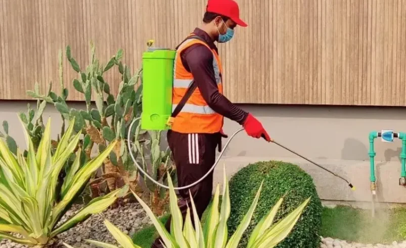 Fumigation Services Near Me – Professional Pest Control Solutions for a Safe and Healthy Environment