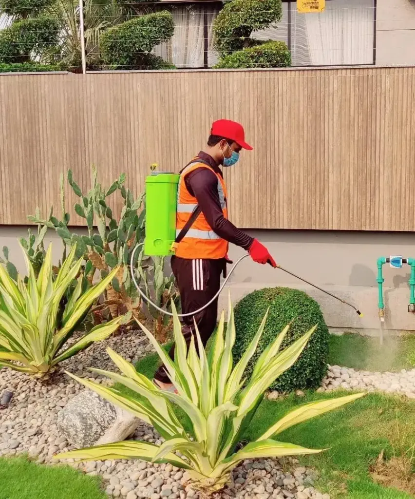 fumigation-services-in-Lahore-1