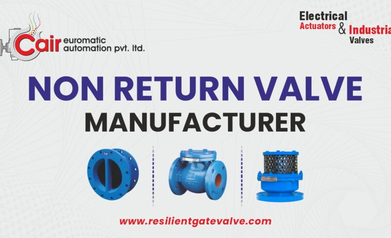Non Return Valve Manufacturer in India