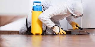 termite-control-services-in