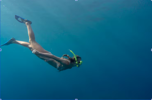 koh tao jellyfish