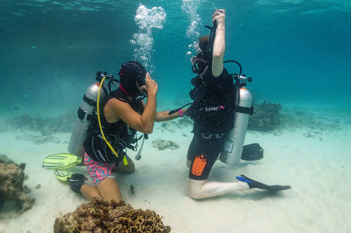 First-Time Visitor’s Guide: Things to Do in Koh Tao