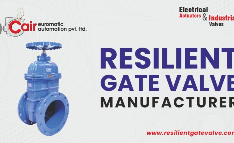 Trusted Sluice Valves Manufacturer from Ahmedabad, India